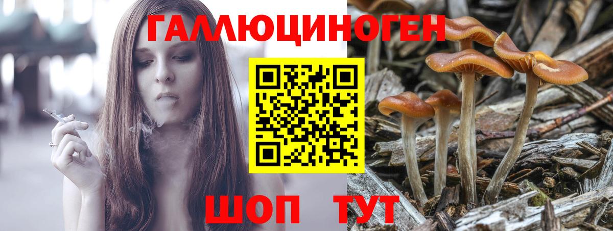 Псилоцибиновые грибы Cubensis Валуйки